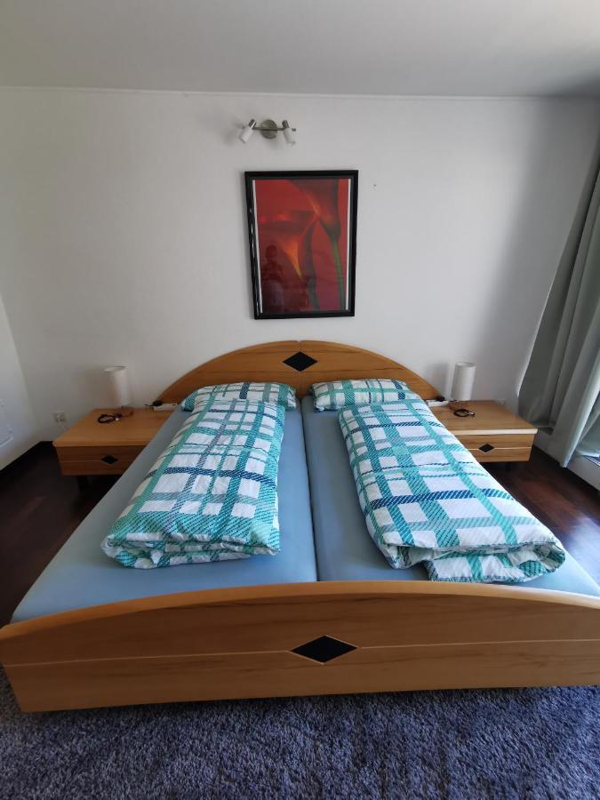 Terrassenwohnung Mit Toller Aussicht & Zentrumsnah Hornberg Dış mekan fotoğraf