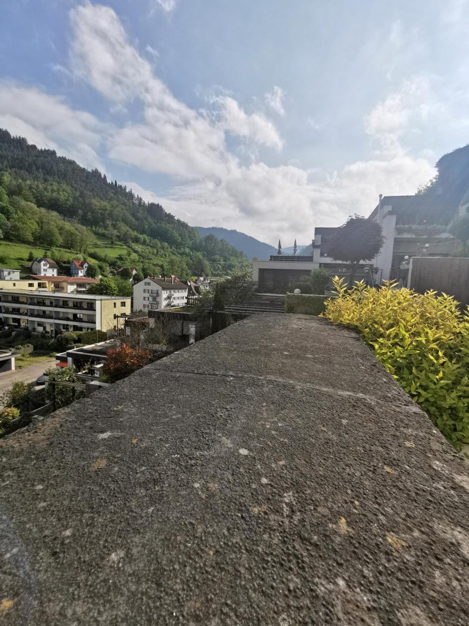 Terrassenwohnung Mit Toller Aussicht & Zentrumsnah Hornberg Dış mekan fotoğraf